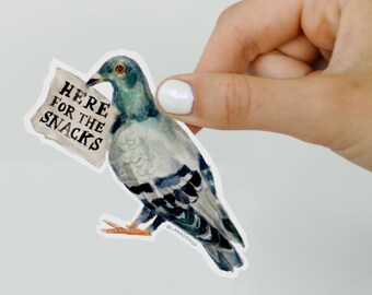 Hungry Pigeon Sticker, Cute Pigeon Sticker, Waterproof Vinyl for Laptop, Kindle, Water Bottle, Dishwasher Safe, Matte Computer Sticker