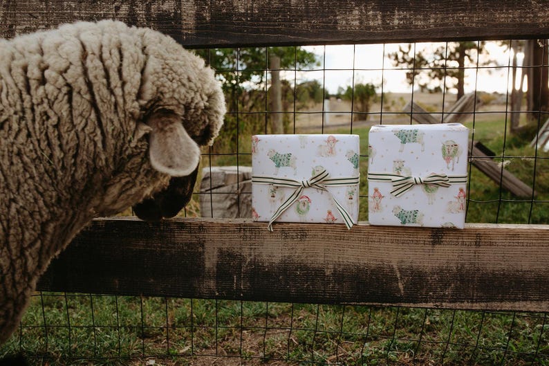 May include: Two gift boxes wrapped in white paper with a pattern of sheep and other farm animals. Each box is tied with a striped ribbon. A sheep is seen in the left of the frame, looking at the boxes.