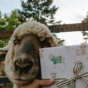May include: A sheep looks towards the camera, with a gift box in the foreground. The gift box is wrapped in white paper with a pattern of sheep wearing sweaters and hats. A green and white striped ribbon adorns the box.