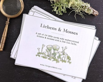 Lichens & Mosses Learning Cards - Montessori, Homeschool, Nature Study, Digital - Printable PDF