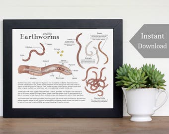 Earthworm Science Printable - Educational Art - 8.5 x 11 and A4 Sized Files - Earthworm Anatomy, Montessori, Science, Nature Study