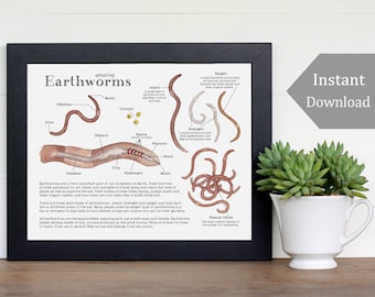 Earthworm Science Printable - Educational Art - 8.5 x 11 and A4 Sized Files - Earthworm Anatomy, Montessori, Science, Nature Study