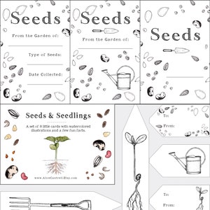 Seed Bundle Seed Envelopes Tags   Gardening Notebook Cover With