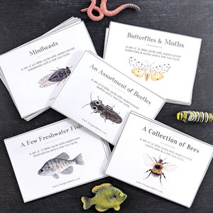 Paquete de tarjetas de aprendizaje sobre fauna (5 juegos)