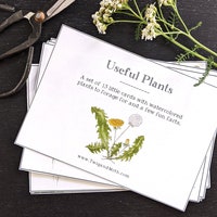 Mushroom Foraging Log Printable Template | Digital Download | Fungi ...