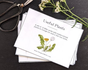 Useful Plants Learning Cards - Foraging, Homeschool, Nature Study, Digital - Printable PDF