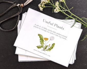 Useful Plants Learning Cards - Foraging, Homeschool, Nature Study, Digital - Printable PDF