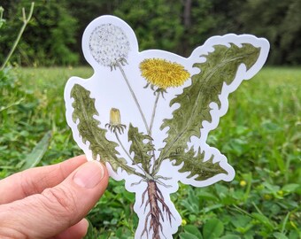 Dandelion Sticker - Taraxacum  ~ Waterproof and Weatherproof Small Gifts for Water Bottle, Laptop, Tablet, Car or Canoe