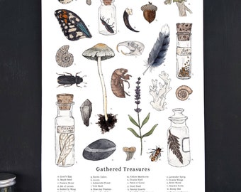 Gathered Treasures - Nature Collection - School Room Wall Art - 12 x 18 Poster - Montessori, Educational, Natural History, Nature Study