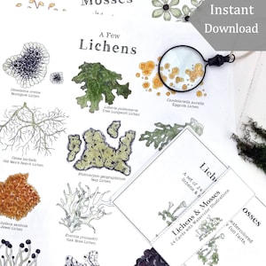 Flechten & Moose Digital Bundle - Digitaldruck + Lernkarten - Flechte, Moos, Montessori, Wissenschaft, Naturstudie, Charlotte Mason