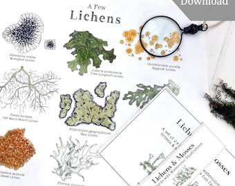 Lichens & Mosses Digital Bundle - Digital Print + Learning Cards - Lichen, Moss, Montessori, Science, Nature Study, Charlotte Mason