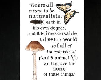 Meant to be Naturalists - Charlotte Mason Quote - 11 x 17 Poster - Educational, Natural History, Nature Study, School Room Wall Art