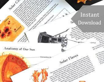 Our Dynamic Sun School Room Printable - Educational Art - A4 and 8.5x11 - Montessori, Charlotte Mason, Educational, Astronomy
