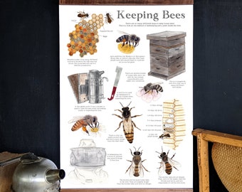 Keeping Bees Poster - 12 x 18 Poster - Montessori, Educational, Insects, Nature Study, Entomology