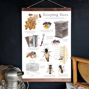 Keeping Bees Poster - 12 x 18 Poster - Montessori, Educational, Insects, Nature Study, Entomology