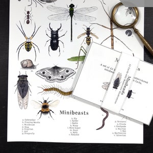 Minibeast Digital Bundle! - Minibeast Digital Print + Learning Cards - Assorted Invertebrates, Montessori, Science, Insects, Nature Study