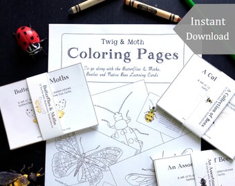 Bundle of Coloring Pages + Learning Cards - Digital, Printable  - Montessori, Science, Insects, Nature Study