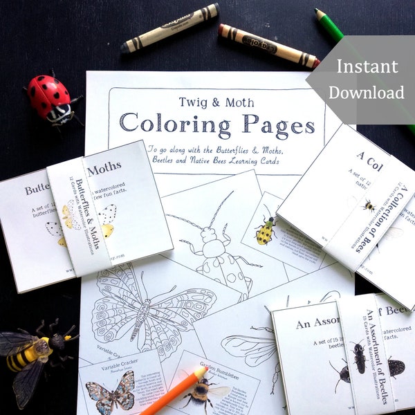 Bundle of Coloring Pages + Learning Cards - Digital, Printable  - Montessori, Science, Insects, Nature Study