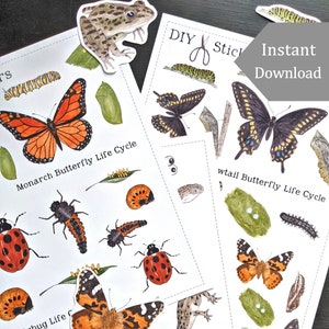 Druckbare Lebenszyklus Aufkleber - 40+ digitale DIY druckbare Aufkleber - Aquarell Illustrationen - Montessori, Wissenschaft, Insekten, Naturstudie
