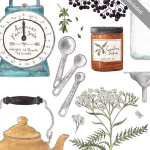 DIGITAL Herbal Materia Medica &amp; Formulary Journal - Full Size - 150 ...