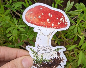 Red Mushroom MAGNET - Amanita muscaria