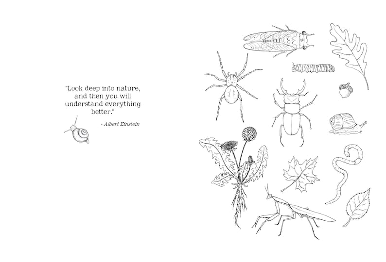DIGITAL PDF version - Nature Journal for Kids - 102 Pages - Printable on 8.5 x 11 or A4 Paper - Charlotte Mason, Montessori, Nature Study image 8
