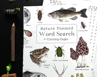 Version PDF numérique - mot recherche sur le thème de la nature + pages à colorier - fichier de 8,5 x 11