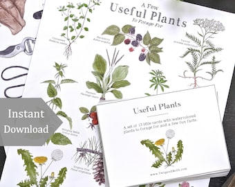 Useful Plants Digital Bundle - Digital Print + Learning Cards - Foraging, Science, Nature Study, Wild Edibles