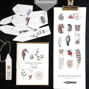 Colecciones curiosas - Calendario perpetuo imprimible / Calendario de cumpleaños, tarjetas de notas y etiquetas de regalo - 8,5 x 11 - A4 - Curiosidades de historia natural