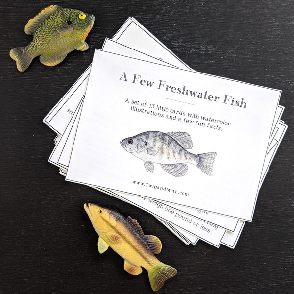 Freshwater Fish (From North America) Learning Cards - Digital, Montessori, Homeschool, Charlotte Mason Nature Study, Fishing