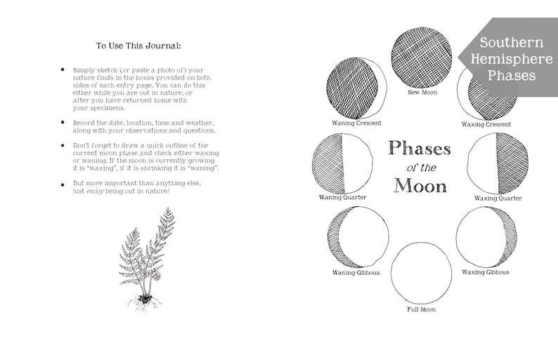 DIGITAL PDF version - Nature Journal for Kids - 102 Pages - Printable on 8.5 x 11 or A4 Paper - Charlotte Mason, Montessori, Nature Study image 6