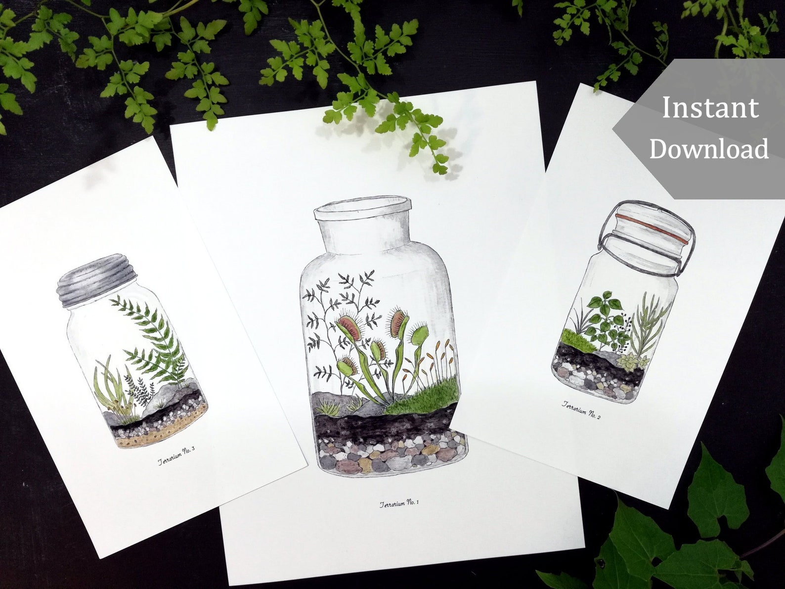 Terrarium Prints Digital Printable PDF 8.5 X - Etsy