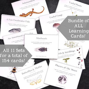 Bundle of All the Learnings Cards! - 11 Sets - 154 Cards - Botanicals, Bugs, Fish and More! Flash Cards - Homeschool - Classroom Decor