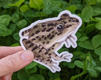 Leopard Frog Sticker ~ Waterproof and Weatherproof Small Gifts for Water Bottle, Laptop, Tablet, Car or Canoe