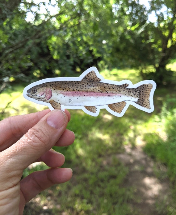 Freshwater Fish WATERPROOF Stickers 