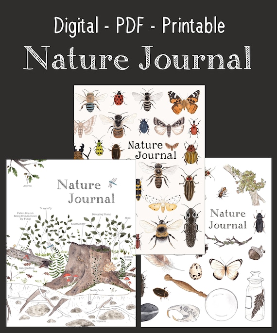 Nature Journal - Free Printable - Montessori Nature
