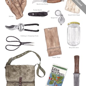 K&ouml;nnte beinhalten: Eine Aquarellillustration einer Sammlung von Werkzeugen zum Sammeln, darunter Handschuhe, ein Pilzmesser, ein Taschenmesser, eine Lupe, Schneid- oder Zupfwerkzeuge, eine Sammeltasche, Papiert&uuml;ten, recycelte Gl&auml;ser, ein Feldf&uuml;hrer mit dem Titel "Essbare Wildpflanzen" und ein Werkzeug zum Ausgraben von Wurzeln.