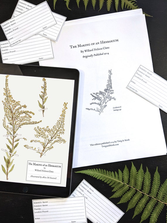 植物標本の作成 1904 復刻版 デジタル電子書籍（印刷可能なラベル付き