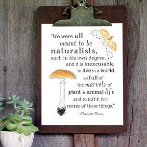 Stampabile sulla natura - Meant to be Naturalists - A4 e 8x10 - Citazione di Charlotte Mason, Wild + Free, Stampabile motivazionale, Arte murale per l'aula scolastica immagine 2