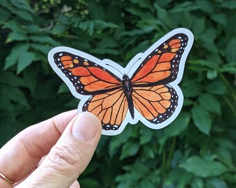 Monarch Butterfly MAGNET - Danaus plexippus