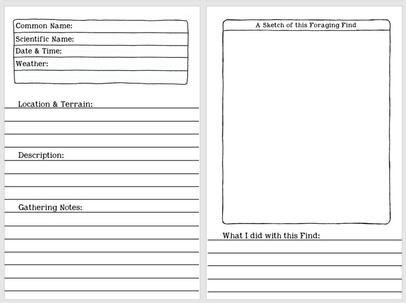 DIGITAL Foraging Log for Kids - Half-page Size - 104 Printable Pages ...