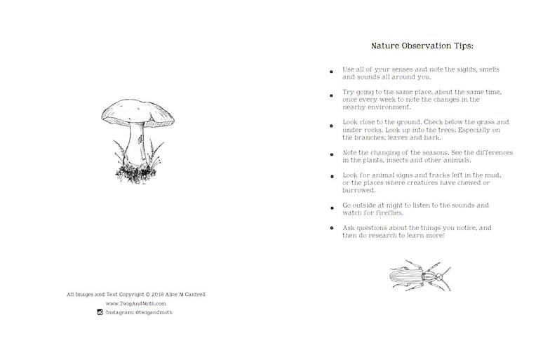 DIGITAL PDF version - Nature Journal for Kids - 102 Pages - Printable on 8.5 x 11 or A4 Paper - Charlotte Mason, Montessori, Nature Study image 3