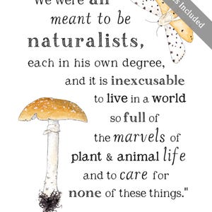 Stampabile sulla natura - Meant to be Naturalists - A4 e 8x10 - Citazione di Charlotte Mason, Wild + Free, Stampabile motivazionale, Arte murale per l'aula scolastica immagine 3