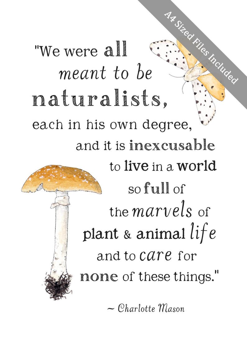 Stampabile sulla natura - Meant to be Naturalists - A4 e 8x10 - Citazione di Charlotte Mason, Wild + Free, Stampabile motivazionale, Arte murale per l'aula scolastica immagine 3