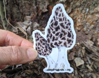 Morel Mushroom Sticker - Morchella  ~ Waterproof and Weatherproof Small Gifts for Water Bottle, Laptop, Tablet, Car or Canoe