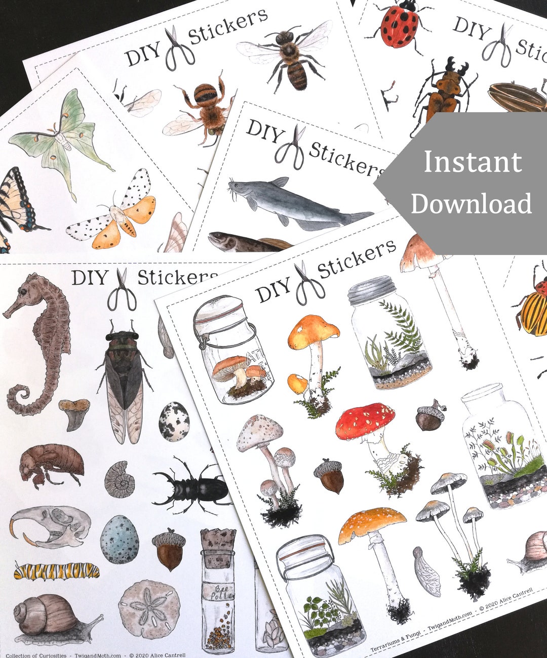 Printable Nature Stickers 80 Digital DIY Printable Stickers - Etsy
