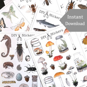 Printable Nature Stickers - 80+ Digital DIY Printable Stickers - Watercolor Illustrations -  Montessori, Science, Insects, Nature Study