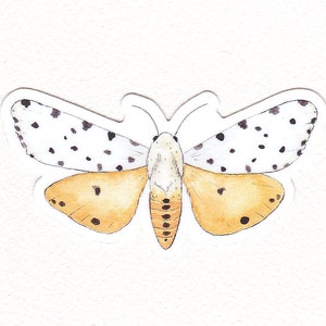 Salt Marsh Moth Sticker Waterproof and Weatherproof Small Gifts for Water Bottle, Laptop, Tablet, Car or Canoe image 2