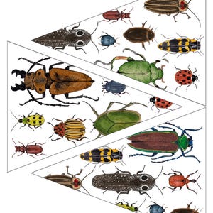 DIY Insects Bunting - Digital - Printable PDF - School Room Art, Moths ...