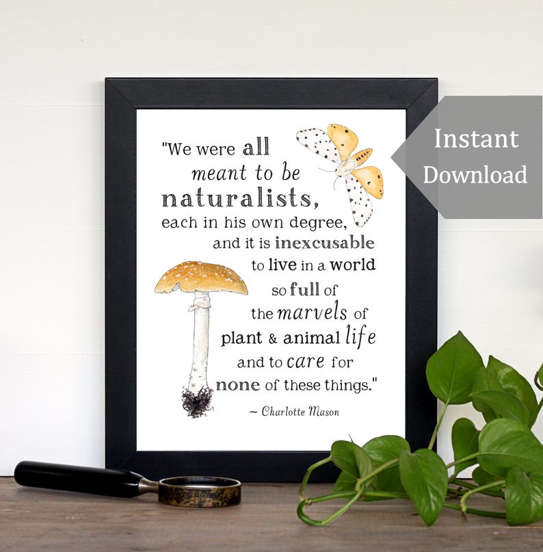 Stampabile sulla natura - Meant to be Naturalists - A4 e 8x10 - Citazione di Charlotte Mason, Wild + Free, Stampabile motivazionale, Arte murale per l'aula scolastica immagine 1
